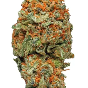 AK 47