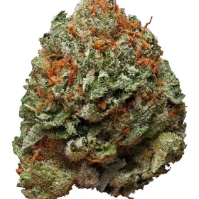 Bubba kush