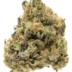 Buy Godfather OG