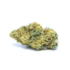 Golden Kush