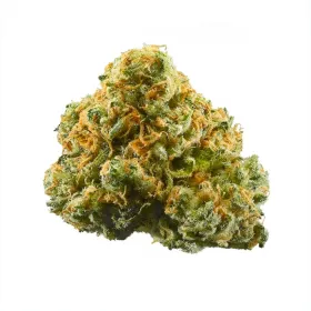 Green Dragon