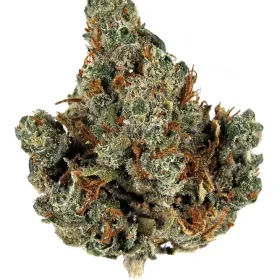 Holy Grail Kush
