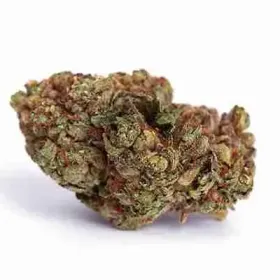 Lavender Kush