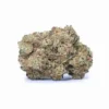 Northern Lights for Sale