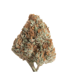 Snow White