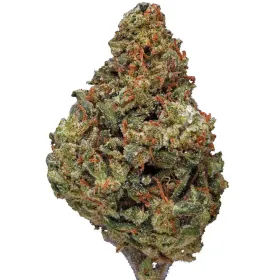 Zeus OG