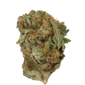 Chemdawg Strain