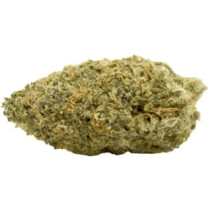 Jelly Donut Strain