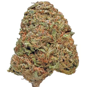Maui Wowie Strain