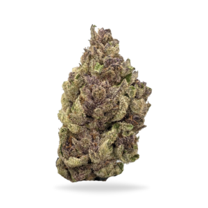 Super Boof Strain