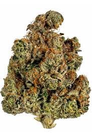 Trainwreck Strain