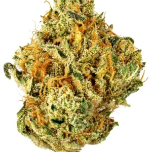 UK Cheese Strain