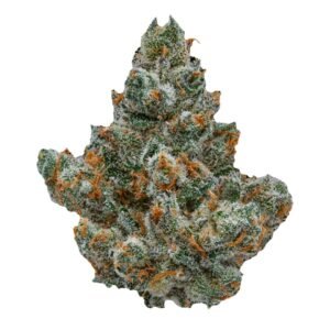 Area 41 Strain
