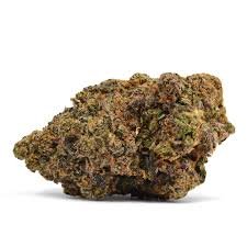 Biscotti Weed Strain