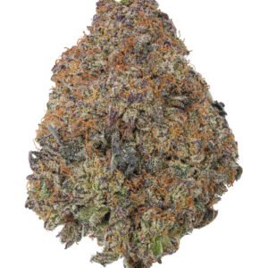 Black Cherry Gelato