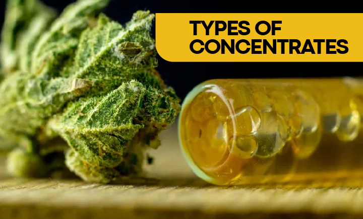 budshop420.com