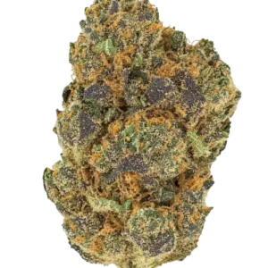 Gello Shotz Strain