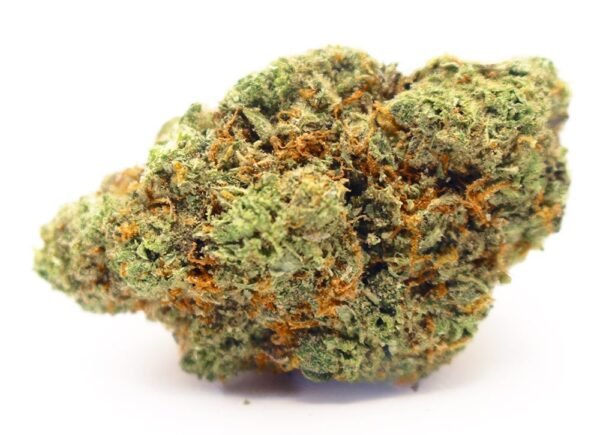 Grape Gas Strain