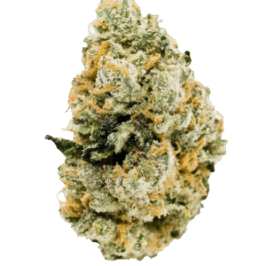 Krypto Chronic Strain