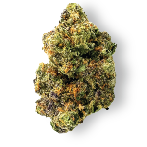 Sherbert Strain