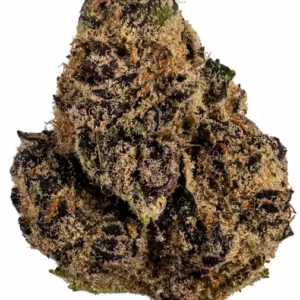 Tropicanna Strain