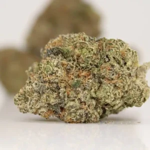 White Walker Strain