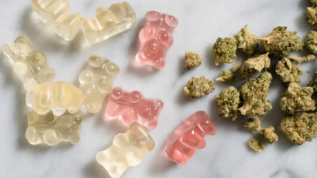 Looking for the perfect 420 edible experience? Dive into our 2026 guide on how to buy 420 edibles online, find 420 edible gummies for sale, and secure fast shipping 420 edibles USA. From THC chocolate edibles to vegan 420 edible gummies, we cover it all!